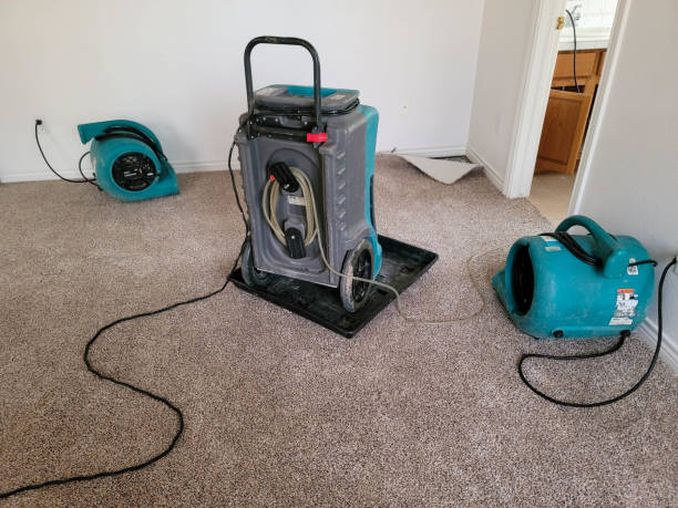 Best Local water damage restoration  in Ship Bottom, NJ