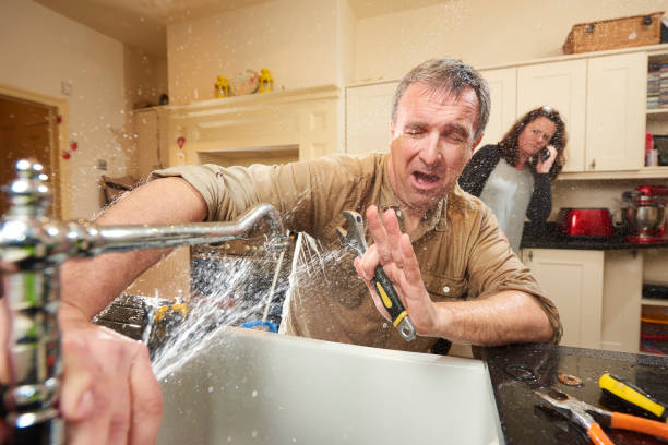 Best Water damage mitigation services  in Ship Bottom, NJ